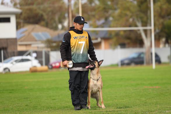 From Passion to Purpose: An Interview with Jay Jamero of Mero Dog Training