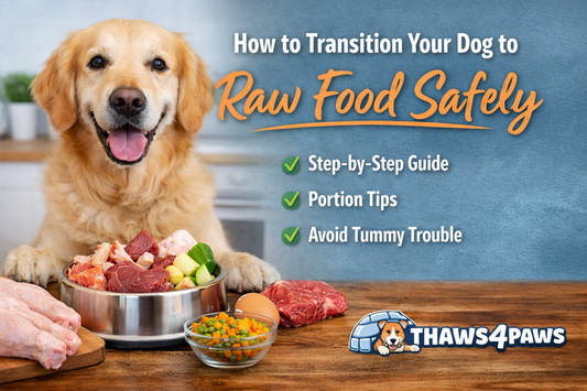How to Transition Your Dog to Raw Food Safely (Without an Upset Tummy)