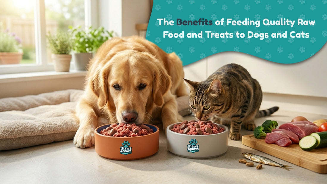 The Benefits of Feeding Quality Raw Food and Treats to Dogs and Cats