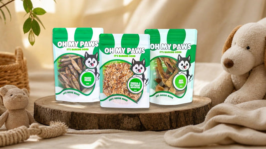 Functional Dog Treats That Support Skin, Coat, Digestion & Joint Health