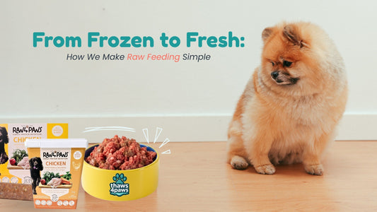 From Frozen to Fresh: How We Make Raw Feeding Simple 🧊