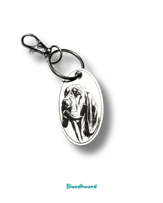 Keyring - Bloodhound