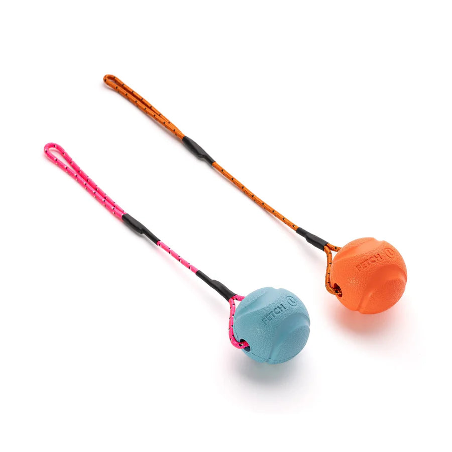 Small Chuckit Fetch Ball
