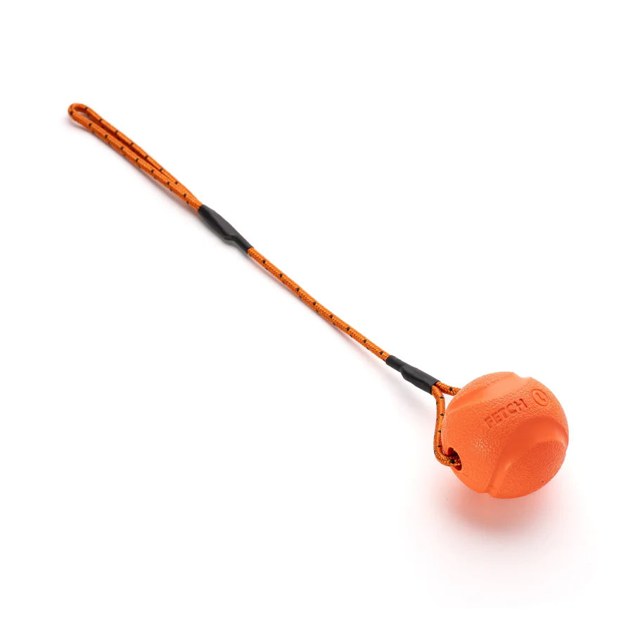 Small Chuckit Fetch Ball