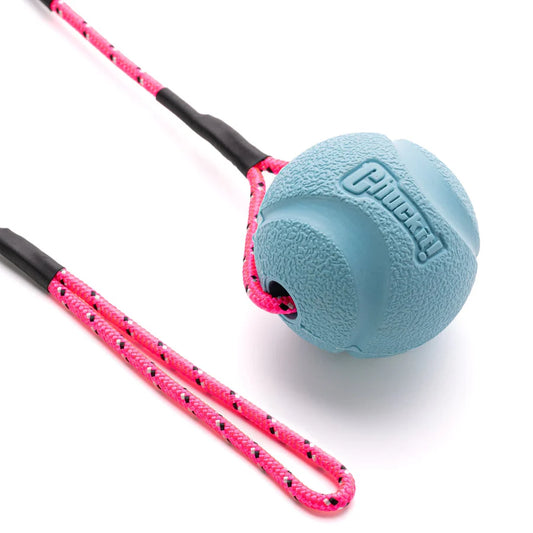 Small Chuckit Fetch Ball