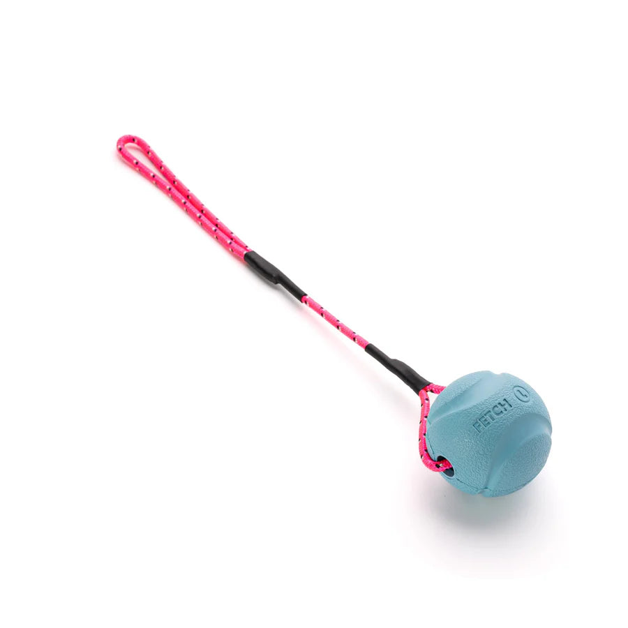 Small Chuckit Fetch Ball